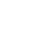 TikTok icon