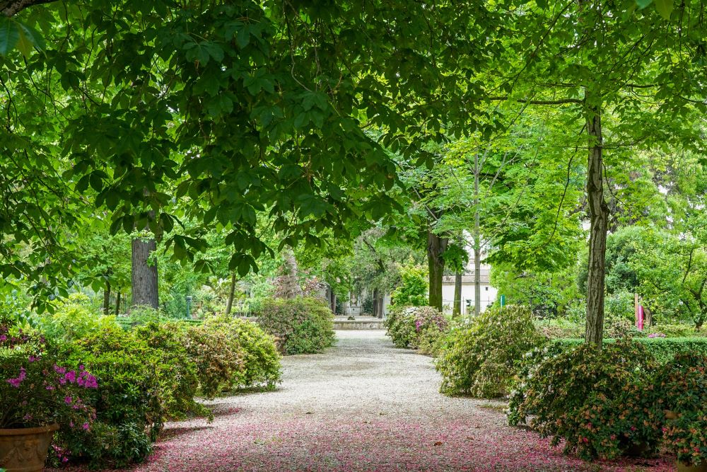 Immagine dell'orto botanico