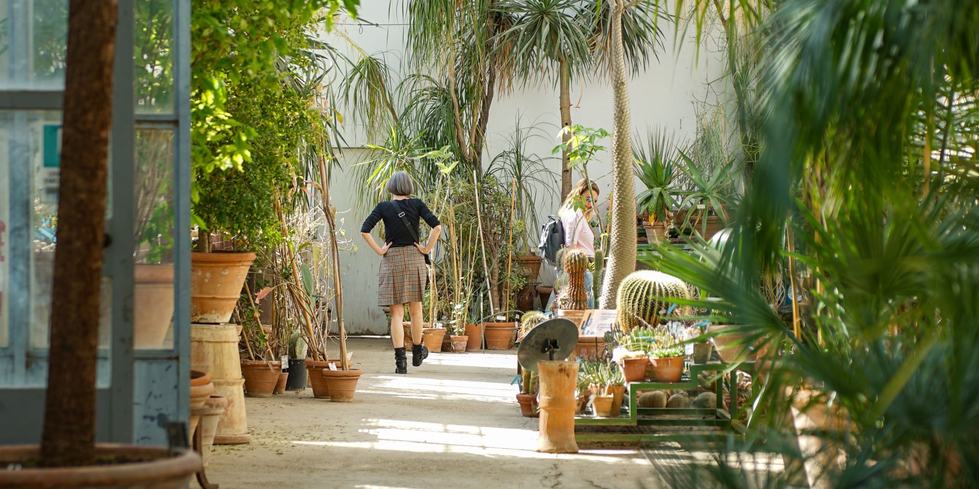 Immagine di piante dell'Orto Botanico