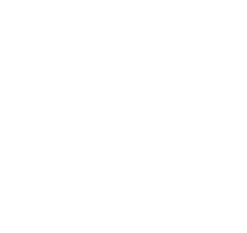 Comune di Firenze - vai al sito