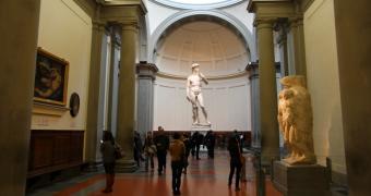 Immagine del David